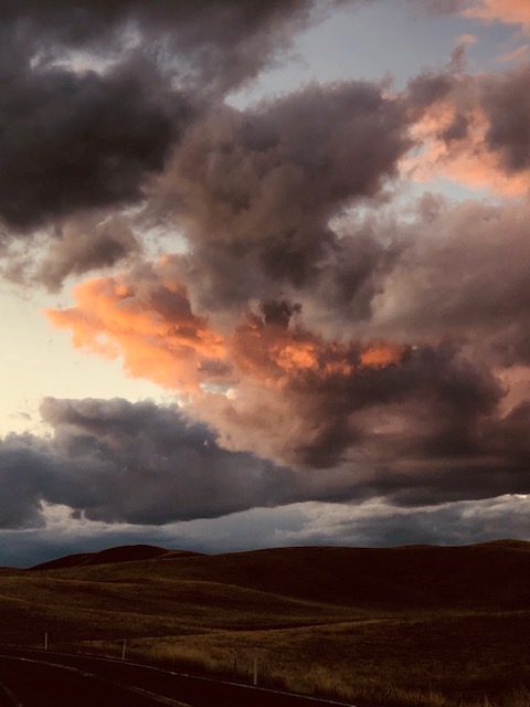 e sky was the ultimate lusciousness this evening. e sky was the ultimate lusciousness this evening.