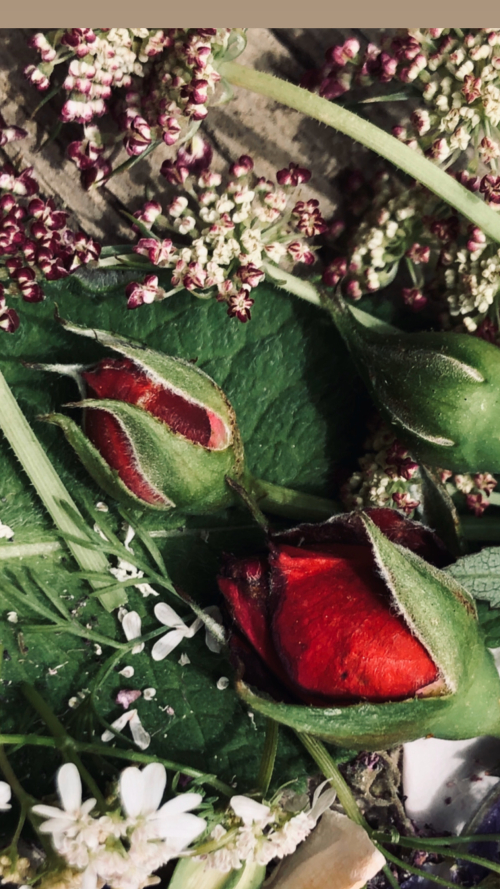 60B8C92A-7E2A-489C-82FF-B5493A2E5282 F638F958-6E66-4491-A1EE-566ECB1A9F90