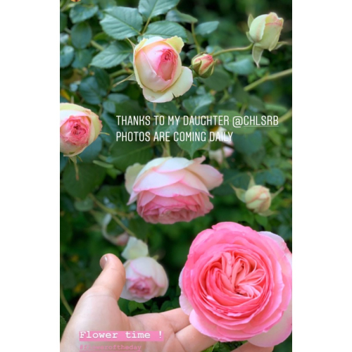 6943FD90-D271-457C-84FF-40272FE4684E 6943FD90-D271-457C-84FF-40272FE4684E