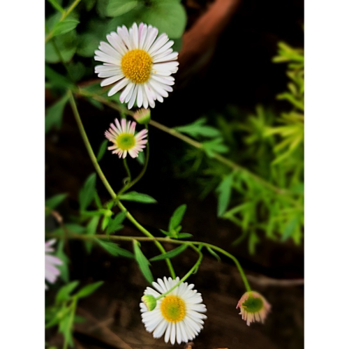 58A70B1E-17CB-491A-8B9A-D469D930F663 58A70B1E-17CB-491A-8B9A-D469D930F663