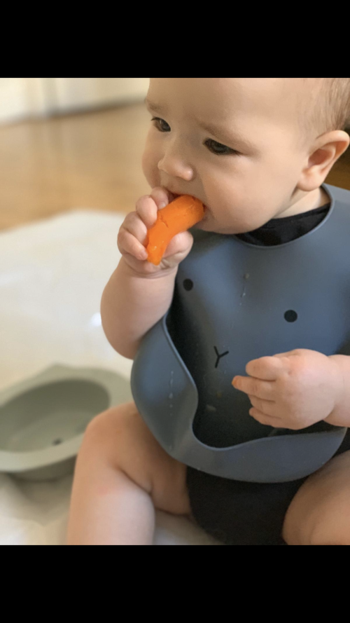 CC4C84C3-1C2E-4569-8A25-01D2032F319E CC4C84C3-1C2E-4569-8A25-01D2032F319E