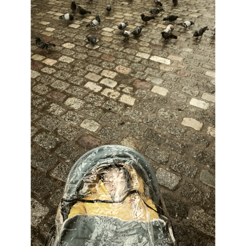 46116C75-5318-442B-AB56-EE738278B055