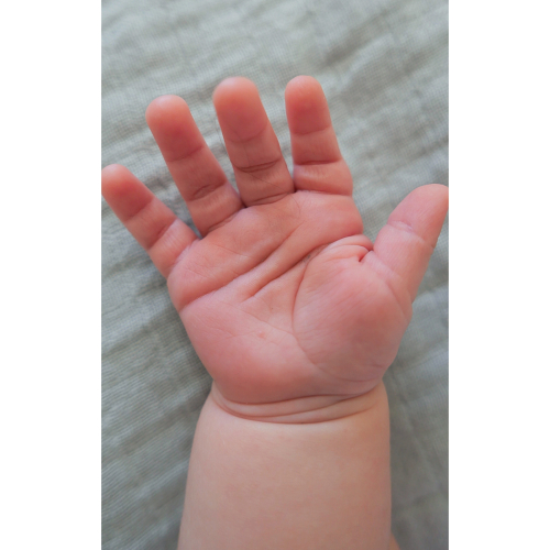 EA3D545F-8001-4B99-B5B9-47380A2861AE EA3D545F-8001-4B99-B5B9-47380A2861AE