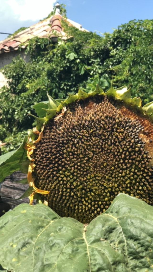 B433E418-6838-44C0-B945-9952DEBAA94A B433E418-6838-44C0-B945-9952DEBAA94A