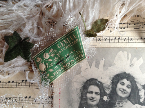 France Corey Amaro France Corey Amaro