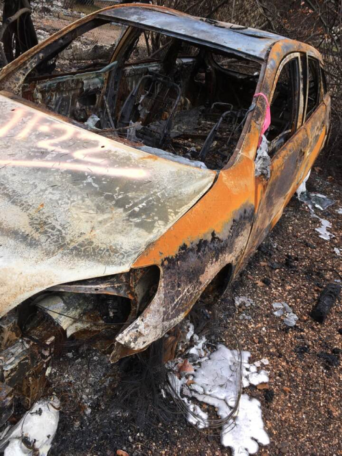 PATRICIA Rich Lloyd Photos of Paradise§ PATRICIA Rich Lloyd Photos of Paradise§