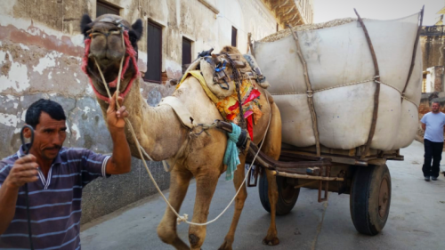 image from https://s3.amazonaws.com/feather-client-files-aviary-prod-us-east-1/2018-10-24/29363488-164a-4af9-93e1-84b1155f44a3.png image from https://s3.amazonaws.com/feather-client-files-aviary-prod-us-east-1/2018-10-24/29363488-164a-4af9-93e1-84b1155f44a3.png