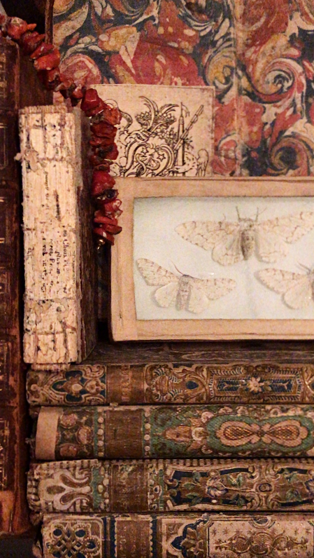 Book lover, French la Vie, Corey Amaro Book lover, French la Vie, Corey Amaro