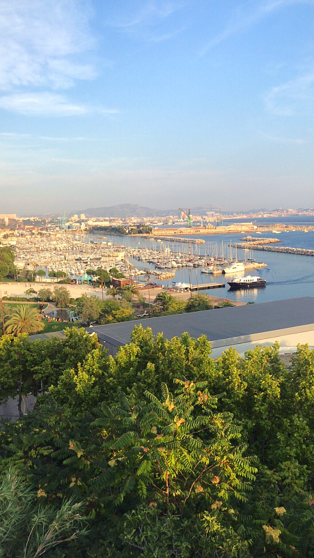 dinner with the eclipse IMG_1912 (1)