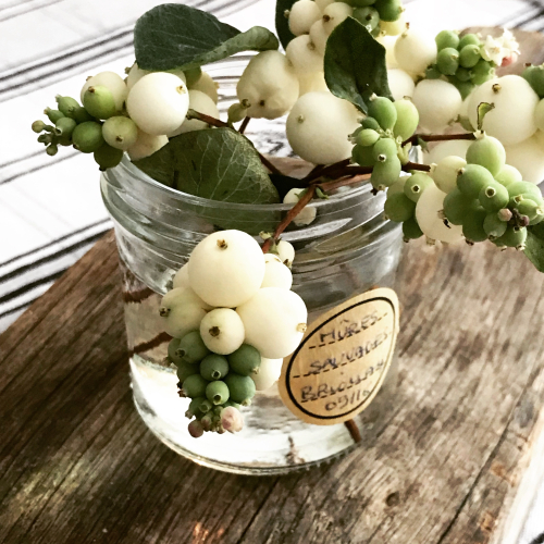 0E5EAE0B-4BEF-458A-8524-4095A0C55F0A 0E5EAE0B-4BEF-458A-8524-4095A0C55F0A