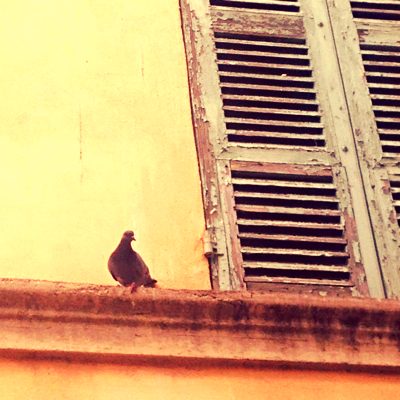 Photo by corey amaro Photo by corey amaro