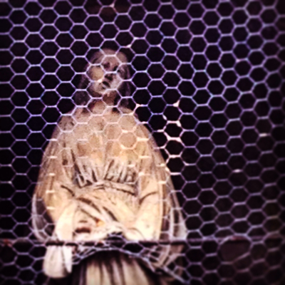 On the Path On the Path, living in France, shrines in provence, corey amaro photography