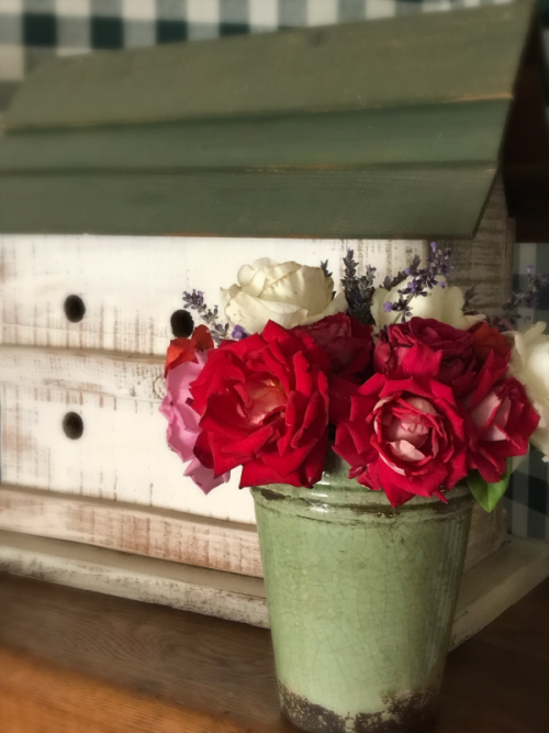 roses, home grown roses, home grown