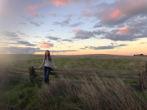 the back roads, willows, nieces, corey amaro the back roads, willows, nieces, corey amaro