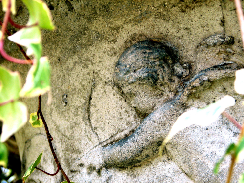 Aim-at-the-angel Aim-at-the-angel