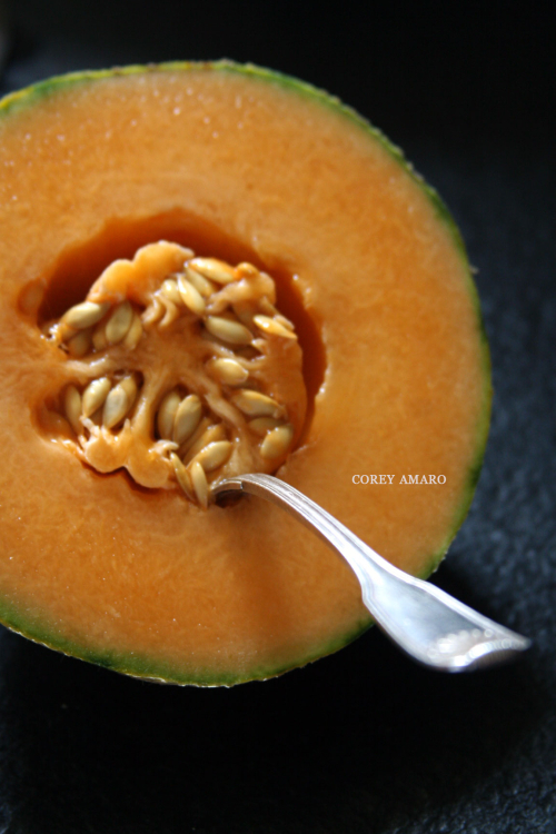 Melon corey amaro Melon corey amaro