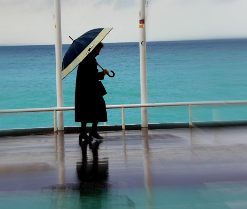 Nice by Laurie SF Nice by Laurie SF