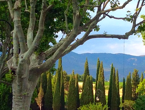 image from https://s3.amazonaws.com/feather-client-files-aviary-prod-us-east-1/2016-07-13/7bc57b2e05744939b3d54eac9dfde3ec.png image from https://s3.amazonaws.com/feather-client-files-aviary-prod-us-east-1/2016-07-13/7bc57b2e05744939b3d54eac9dfde3ec.png