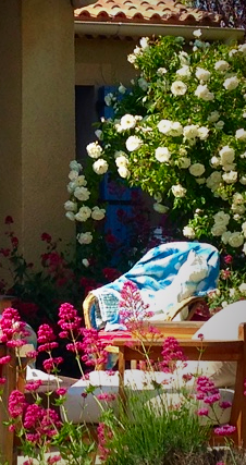 image from https://s3.amazonaws.com/feather-client-files-aviary-prod-us-east-1/2016-05-24/d4b1688cbaf14f1f8005ec978ddddb33.png image from https://s3.amazonaws.com/feather-client-files-aviary-prod-us-east-1/2016-05-24/d4b1688cbaf14f1f8005ec978ddddb33.png