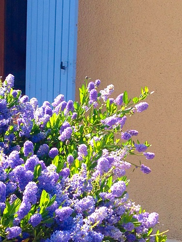 image from https://s3.amazonaws.com/feather-client-files-aviary-prod-us-east-1/2016-05-24/2cdaacfbec6c4b529e2784a19a1b2354.png image from https://s3.amazonaws.com/feather-client-files-aviary-prod-us-east-1/2016-05-24/2cdaacfbec6c4b529e2784a19a1b2354.png