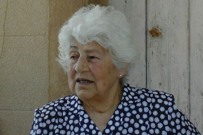 My Friend Annie, the antique rose 06180021