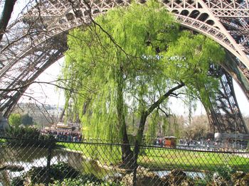 Nancy_honeymoon_spot_2