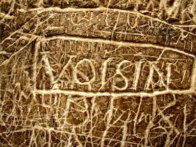 Writingonthewallcoreya