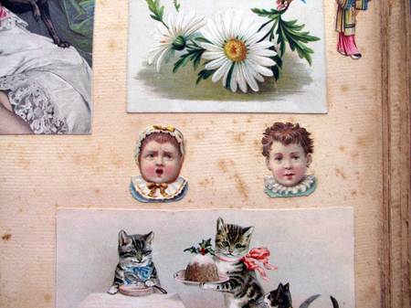 Bee Babies Beebabies