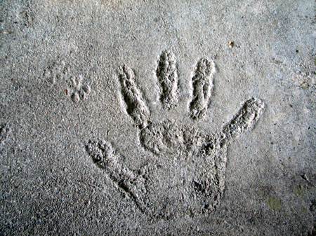 Hand print Handprint
