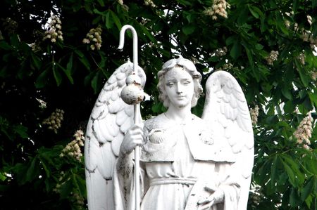 A angel for Molly Cyndiangel