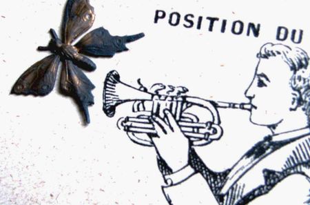 Estampes butterfly Claspbutterfly