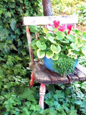 bloom where you are planted Img_1251_2