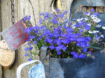 Perfumed letters Img_1276_2