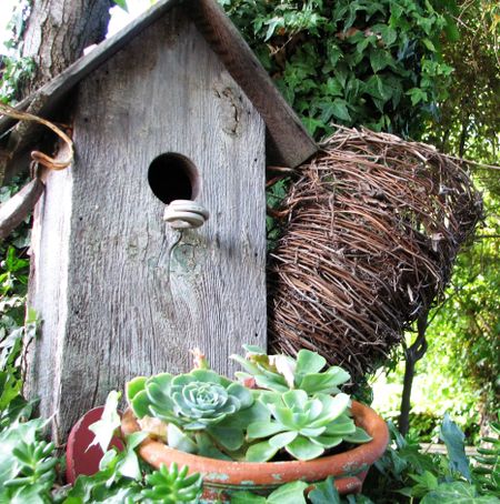 Home sweet home Img_0801