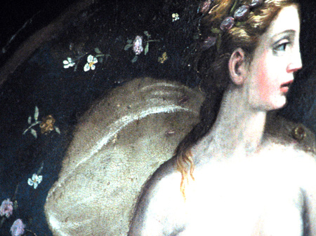 young maiden Chateaudechenonceaupaint