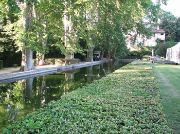 Les Jardins d'Albertas Img_0180