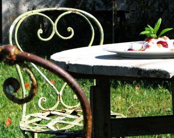 French picnic Wrought_iron_chair