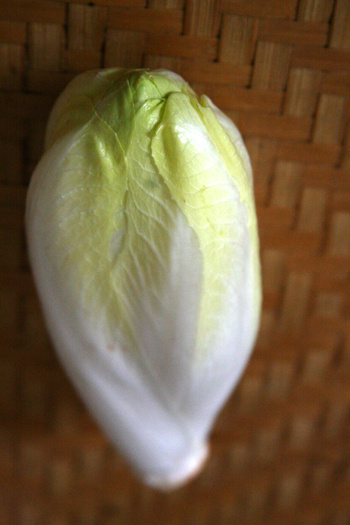 Endive