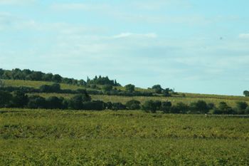 French countryside Img_3624_2