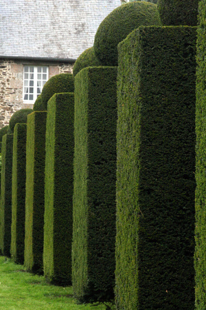 la ballue garden Corey Amaro Balluegarden