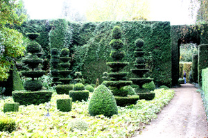 Ballue garden Frenchgardenpawns