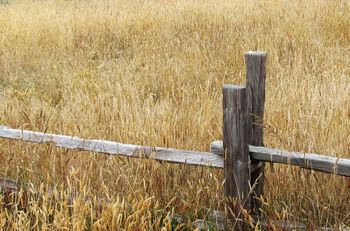 Country fence