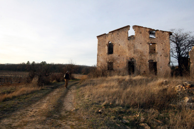 French Style Theabandonhouse_2