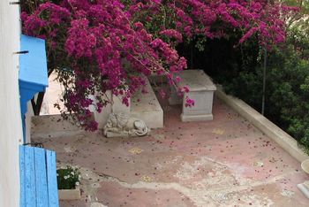 Tunisian courtyard Img_8397