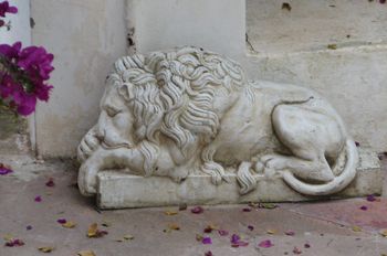 Tunisian courtyard antique stone lion Img_8400