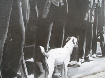 dog darn it Img_0729