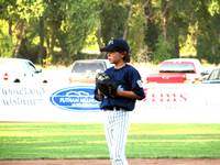 Baseballlittleleague