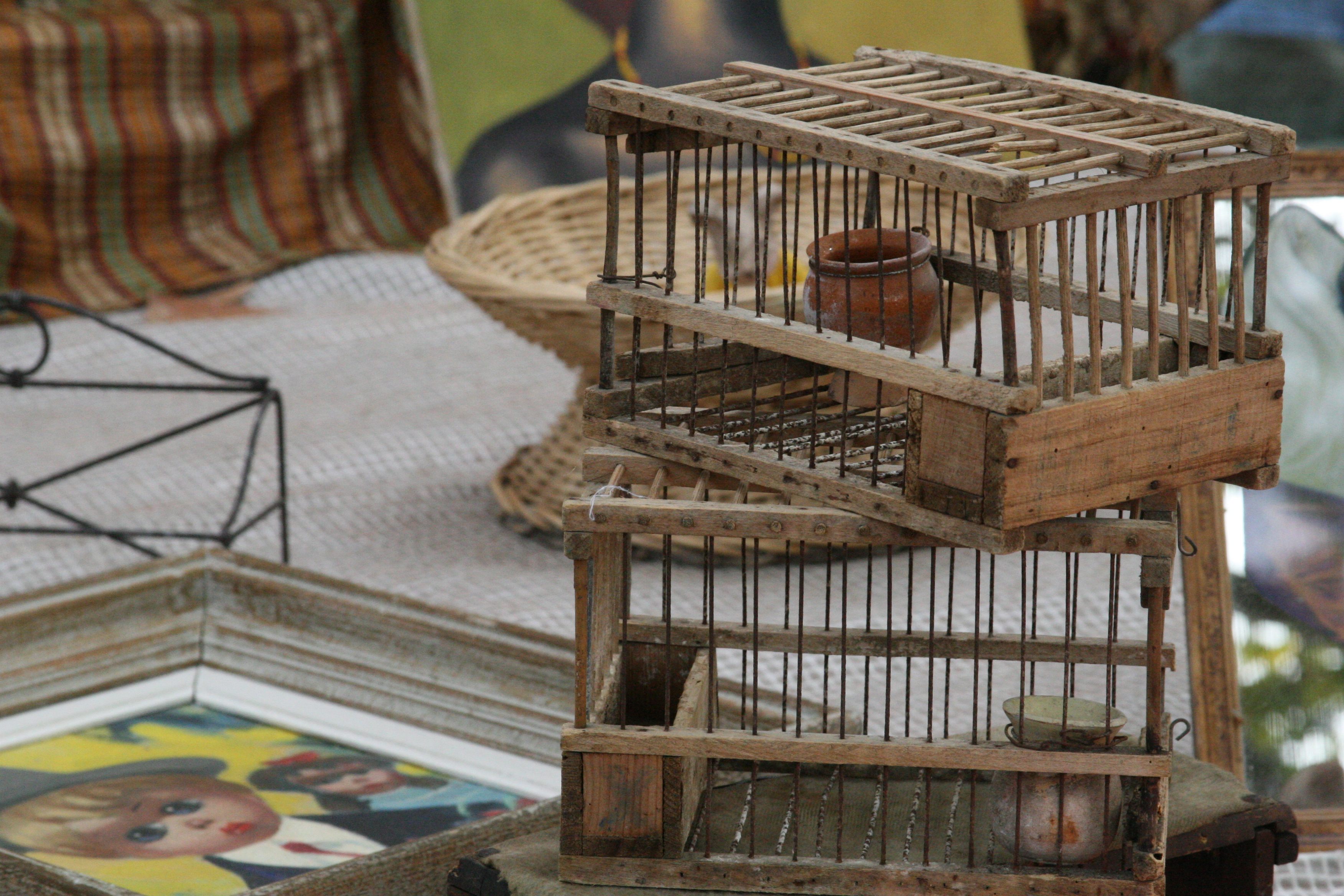 bird cages bird cages