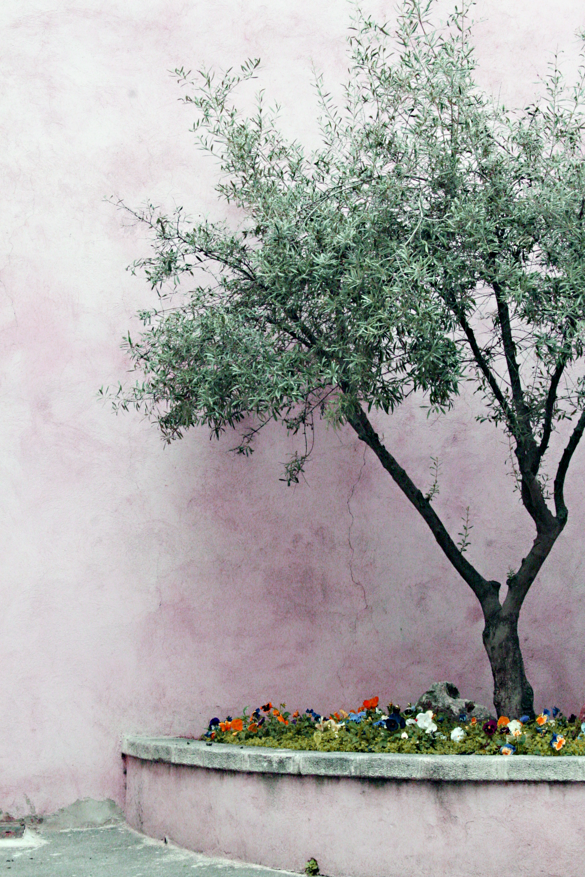 Postcards from a French Village by Corey Amaro Postcards from a French Village by Corey Amaro