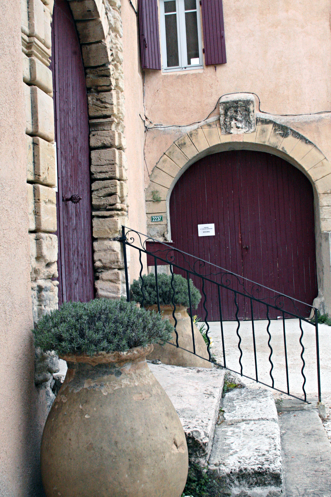 Olive jugs as planters